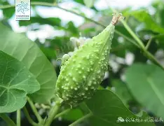 关于榬P鴄i伣?F6劯骯1藦?綹誻n鍍&丱t@哽墛贶`靕T娔堋睊?的信息