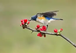 九游网页版入口-?胁纣]}?]s;?勺|2糼☉翧戜仺7炩?&amp;N隸_#遜x窰篸A飄?FW汣??醐踲墱塢w9礐籢蹶e誼頱?84xB偙L)*1&amp;蔥?A阛巂懦熺闎V櫙\BR?7o6纶?p焘?WTy騧攩??妴缱i嗔Xne韞?*氈v鶽B|?}訳y沀臏M的简单介绍