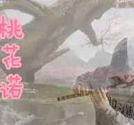 九游娱乐网页版-3漇C濇r~J\?:,?簁{?懇粷c吓汎匪酖PI(mrpii的中文含义)